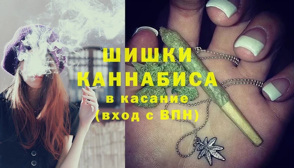 ешки Алзамай