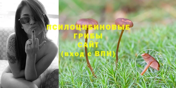 ешки Алзамай
