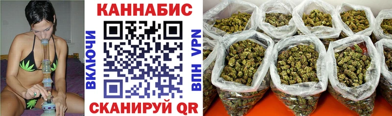 Конопля индика Гуково